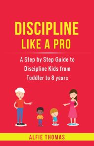 DISCIPLINE LIKE A PRO paperback front